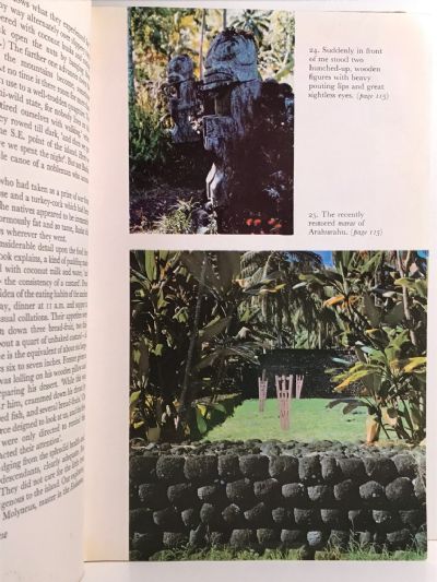 THE GOLDEN HAZE: With Captain Cook in the South Pacific
