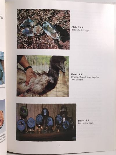 THE EMU FARMER'S HANDBOOK