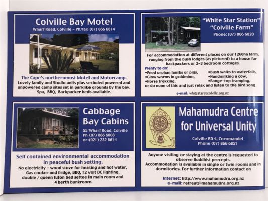 ESCAPE TO THE CAPE: A Travellers Guide revised