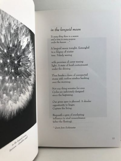 LAUGH IN THE LANGUID MOON: Poems