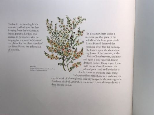KATHERINE MANSFIELDS NEW ZEALAND