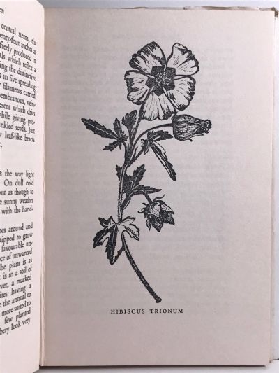 NATIVES FOR YOUR GARDEN