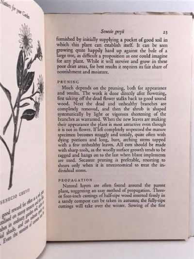 NATIVES FOR YOUR GARDEN