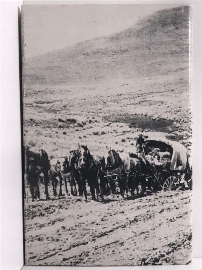 HORSE RANGE TO HORSE BURN: A History of the Waihemo County Council 1882-1982