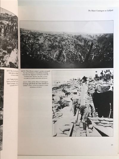 TE HOKOWHITU A TU: The Maori Pioneer Battalion in the First World War