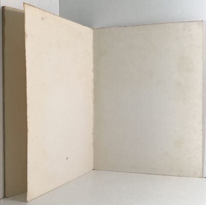 FRANCES HODGKINS: The Paintings and Drawings