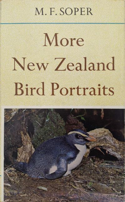 MORE NEW ZEALAND BIRD PORTRAITS 