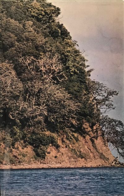 THE ROCK AND THE SKY: The Story of Rodney County