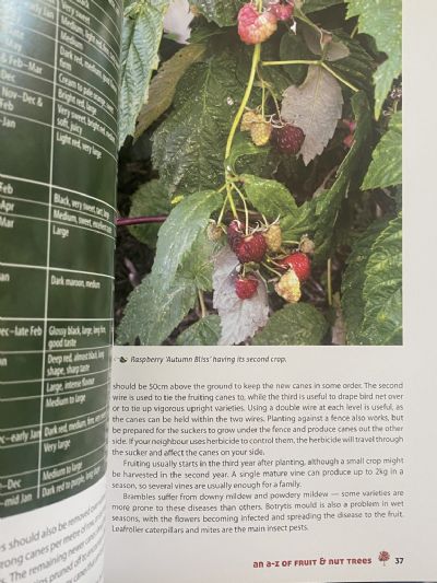 GROW IT YOURSELF FRUIT AND NUTS