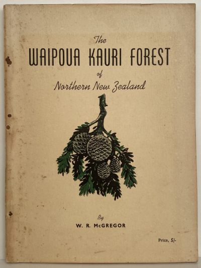 THE WAIPOUA KAURI FOREST of Northern New Zealand -  The Last Virgin Kauri Forest of New Zealand