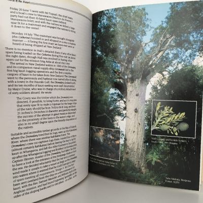 THE WORLD OF THE KAURI