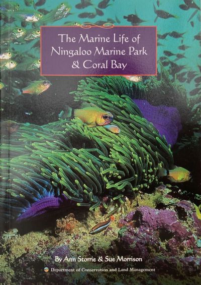 The Marine Life of Ningaloo Marine Park & Coral Bay 