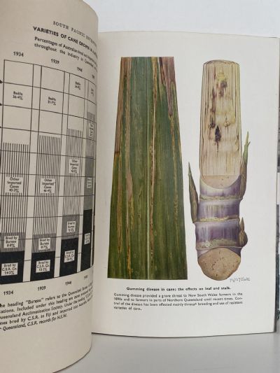 SOUTH PACIFIC ENTERPRISE: The Colonial Sugar Refining Company Ltd