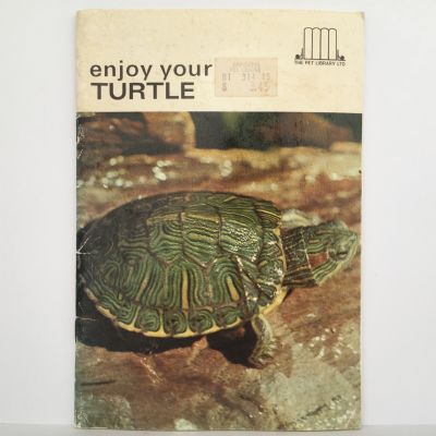 Enjoy Your Turtle