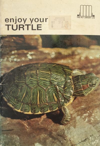 Enjoy Your Turtle