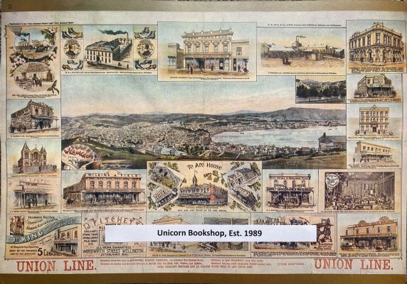VINTAGE POSTER: Union Line 1895