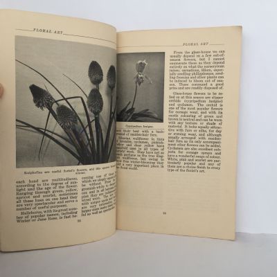 Floral Art : An Elementary Text Book For Florists