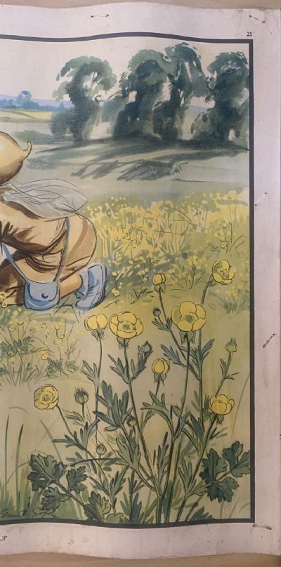 VINTAGE POSTER: No. 25 - Tick Tock and the Buttercup