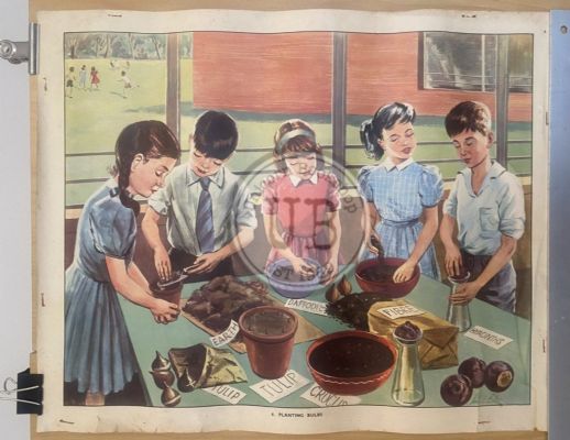 VINTAGE POSTER: No. 6 - Planting Bulbs