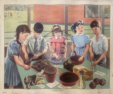 VINTAGE POSTER: No. 6 - Planting Bulbs 