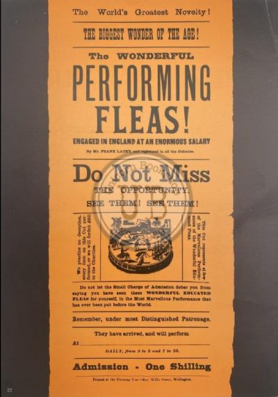 VINTAGE POSTER: New Zealand Entertainment 1890 