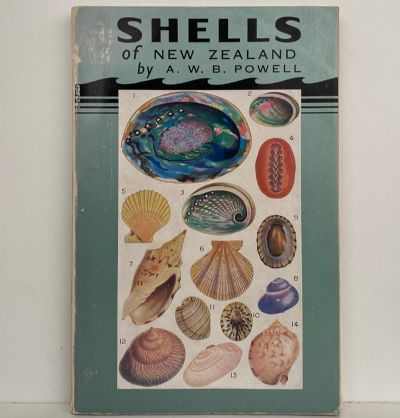 SHELLS OF NEW ZEALAND: An Illustrated Handbook