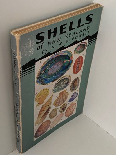 SHELLS OF NEW ZEALAND: An Illustrated Handbook