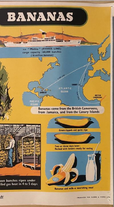 VINTAGE POSTER: Bananas - How they are Grown and Sold 1950s