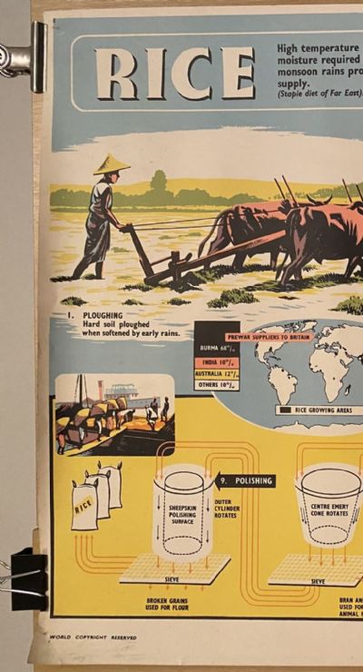 VINTAGE POSTER: Rice - How it is Grown and Sold