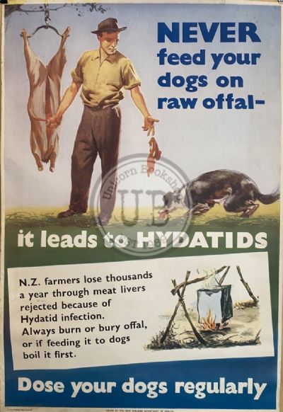 VINTAGE POSTER: New Zealand Department of Health / Hydatids in Farm Dogs 1950s 
