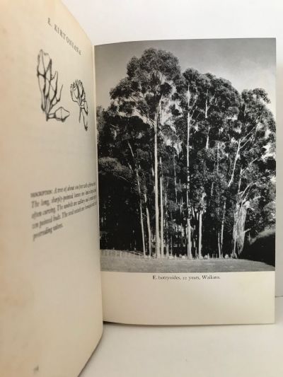 EUCALYPTS FOR NEW ZEALAND - Farms, Parks and Gardens