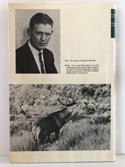 HIGHLAND STAGS OF OTAGO