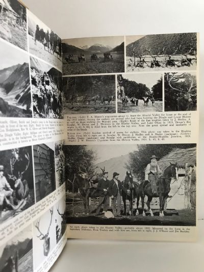 HIGHLAND STAGS OF OTAGO