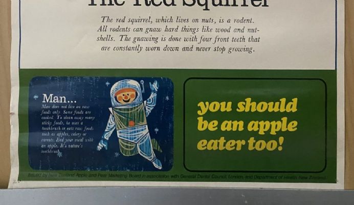 VINTAGE POSTER: New Zealand Apple and Pear Marketing Board 1980s