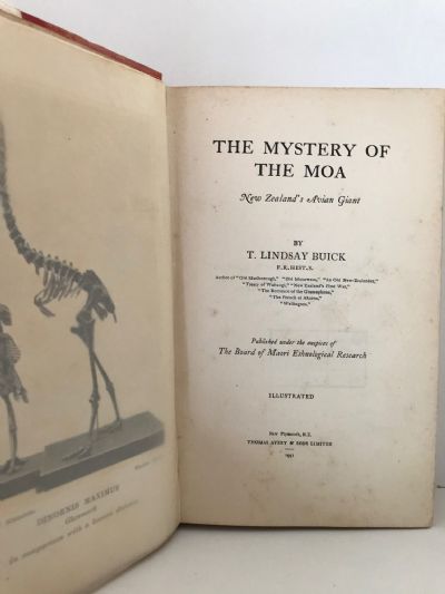 THE MYSTERY OF THE MOA