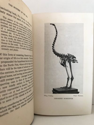 THE MYSTERY OF THE MOA