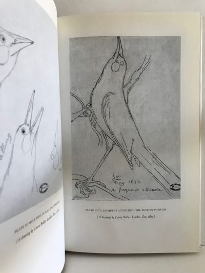 THE BOOK OF THE HUIA