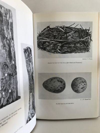 THE BOOK OF THE HUIA