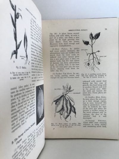 AGRICULTURAL BOTANY