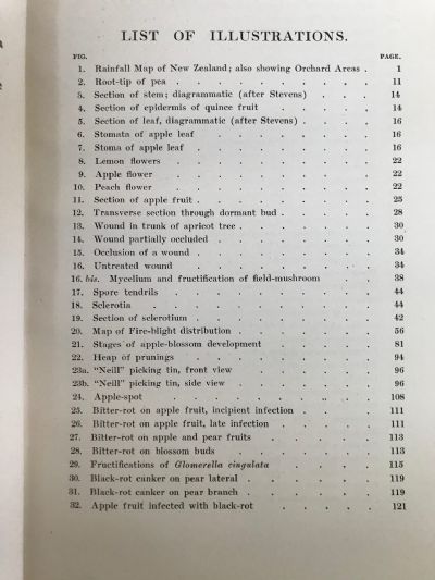 FUNGOUS DISEASES OF FRUIT-TREES