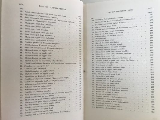 FUNGOUS DISEASES OF FRUIT-TREES