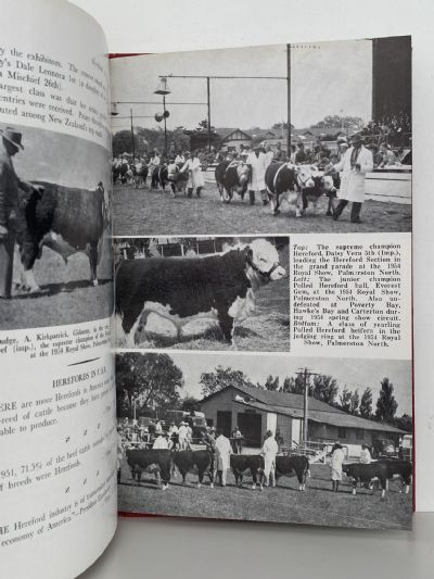 HEREFORDS IN NEW ZEALAND