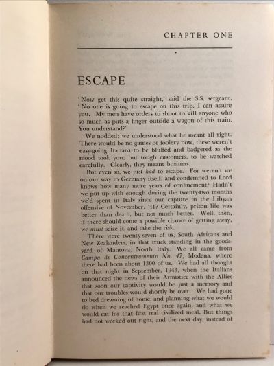 THE WAY OUT: A Kiwi Escapes in Italy