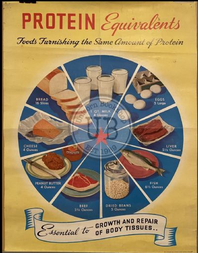 VINTAGE POSTER: Protein Equivalents