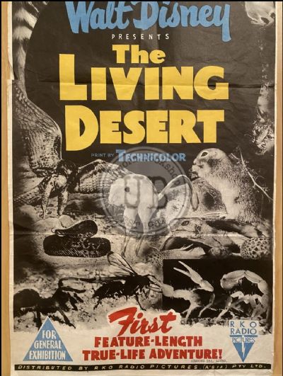 VINTAGE POSTER: Walt Disney Presents - The Living Desert in Technicolour 1953