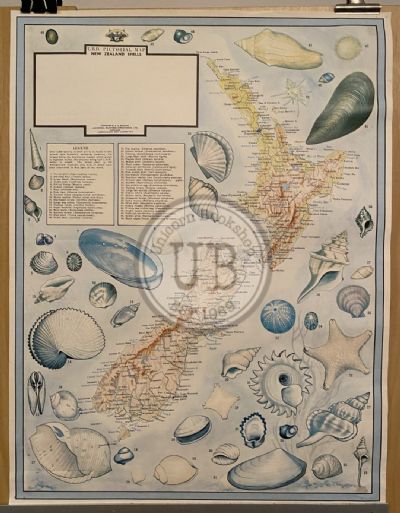 VINTAGE POSTER: UBD Pictorial Map of New Zealand Shells