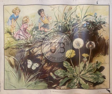 VINTAGE POSTER: No. 15 - The Dandelion Clocks