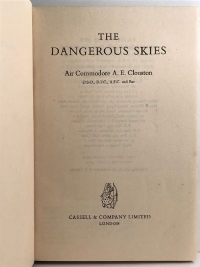 THE DANGEROUS SKIES
