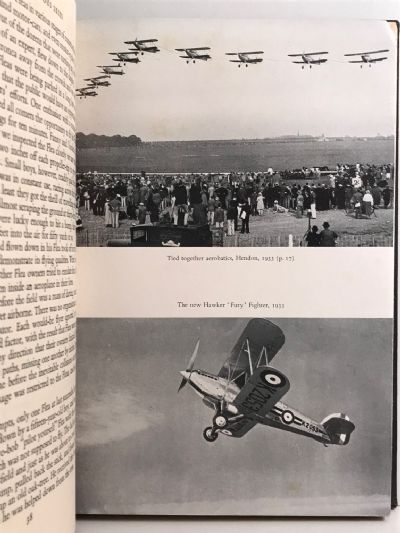 THE DANGEROUS SKIES