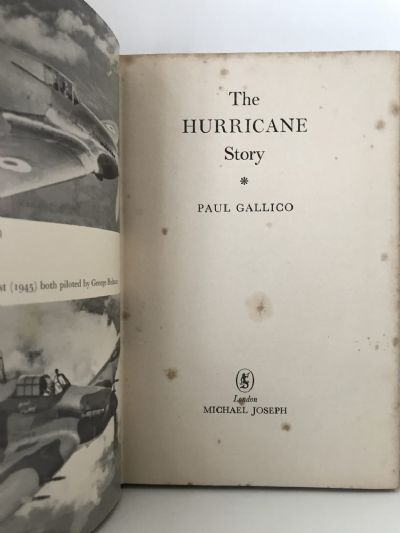 THE HURRICANE STORY